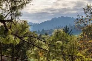 808 Grandview Rd, Sebastopol, CA 95472 - Photo 4