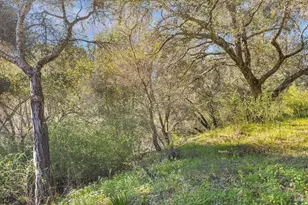 10650 Woodside Dr, Forestville, CA 95436 - Photo 24