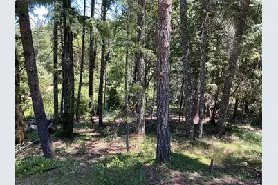 31300 Sherwood Road, Willits, CA 95490 - Photo 24