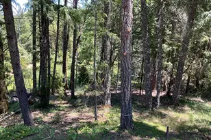 31300 Sherwood Rd, Willits, CA 95490 - Photo 24