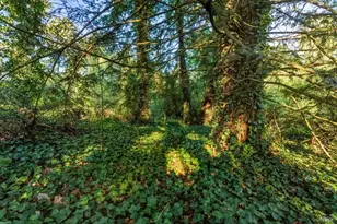 5070 Blank Rd, Sebastopol, CA 95472 - Photo 18