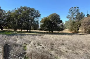 6765 S State Hwy 29 Rd, Kelseyville, CA 95451 - Photo 30