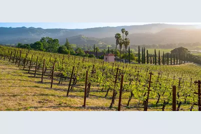 2893 Saint Helena Highway, Saint Helena, CA 94574 - Photo 4