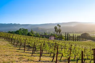 2893 St Helena Hwy, Saint Helena, CA 94574 - Photo 4