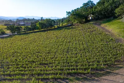 2893 Saint Helena Highway, Saint Helena, CA 94574 - Photo 6