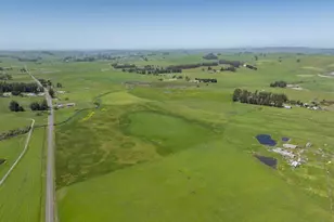 530 Tomales Rd, Petaluma, CA 94952 - Photo 4