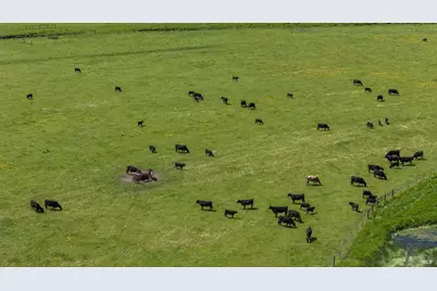 530 Tomales Road, Petaluma, CA 94952 - Photo 6