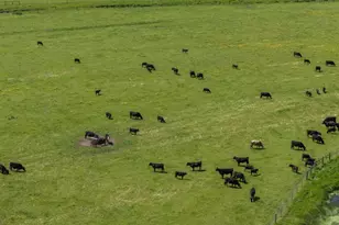 530 Tomales Rd, Petaluma, CA 94952 - Photo 6