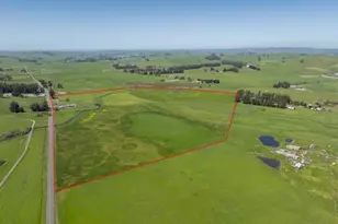 530 Tomales Rd, Petaluma, CA 94952 - Photo 1