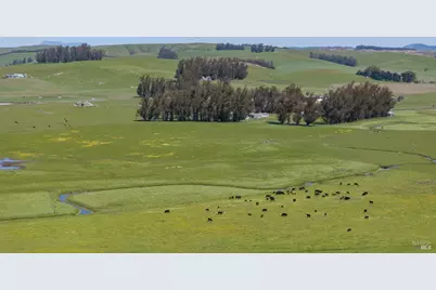 530 Tomales Road, Petaluma, CA 94952 - Photo 10