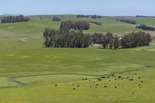 530 Tomales Rd, Petaluma, CA 94952 - Photo 10