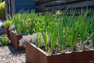 991 Grove St, Healdsburg, CA 95448 - Photo 32