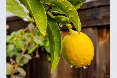 2036 Newcastle Drive, Vacaville, CA 95687 - Photo 72