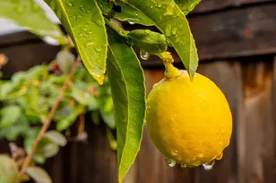 2036 Newcastle Dr, Vacaville, CA 95687 - Photo 72