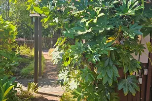 523 Center St, Healdsburg, CA 95448 - Photo 30