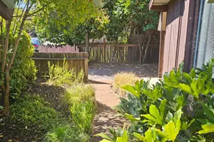 523 Center St, Healdsburg, CA 95448 - Photo 8