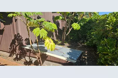 523 Center Street, Healdsburg, CA 95448 - Photo 38