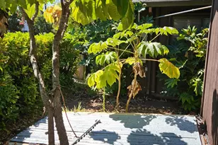 523 Center St, Healdsburg, CA 95448 - Photo 32