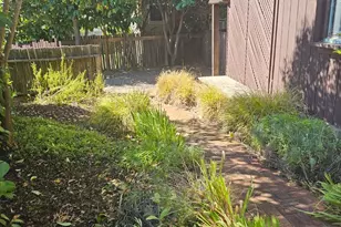 523 Center St, Healdsburg, CA 95448 - Photo 8