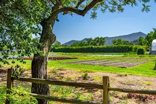 1251 Garden Ave, Saint Helena, CA 94574 - Photo 74