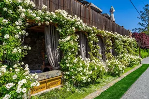 1251 Garden Ave, Saint Helena, CA 94574 - Photo 70