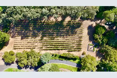 109 Glass Mountain Lane, Saint Helena, CA 94574 - Photo 66