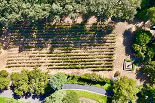 109 Glass Mountain Ln, Saint Helena, CA 94574 - Photo 66