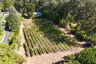 109 Glass Mountain Ln, Saint Helena, CA 94574 - Photo 70