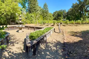 109 Glass Mountain Ln, Saint Helena, CA 94574 - Photo 54