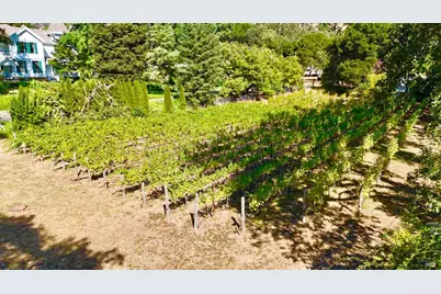 109 Glass Mountain Lane, Saint Helena, CA 94574 - Photo 64