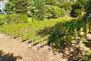 109 Glass Mountain Ln, Saint Helena, CA 94574 - Photo 64