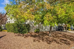 921 Chiles Ave, Saint Helena, CA 94574 - Photo 20