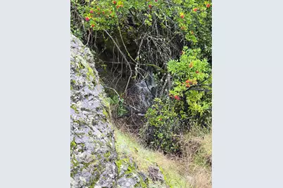 16191 Ridgeview Road, Willits, CA 95490 - Photo 20