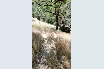 35000 Mendocino Pass Road, Covelo, CA 95428 - Photo 12