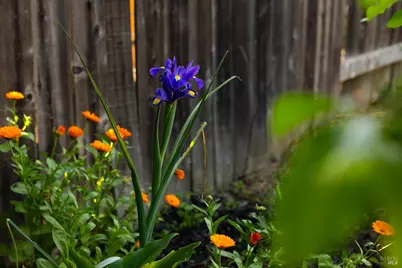 340 Kendrick Lane, Vacaville, CA 95687 - Photo 46