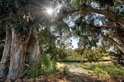 29 Keel Court, San Rafael, CA 94903 - Photo 24