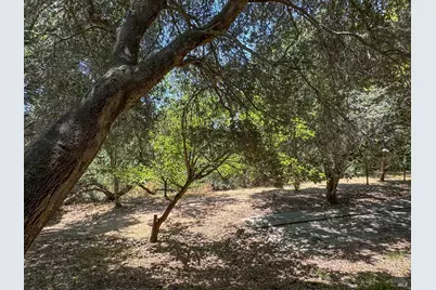 49 Ramon Street, Sonoma, CA 95476 - Photo 38