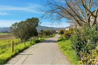 168 Baypoint Drive, San Rafael, CA 94901 - Photo 38