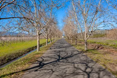 218 Zinfandel Lane, Saint Helena, CA 94574 - Photo 2