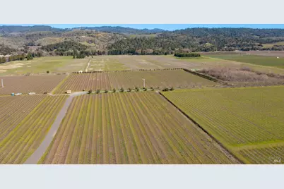 218 Zinfandel Lane, Saint Helena, CA 94574 - Photo 8