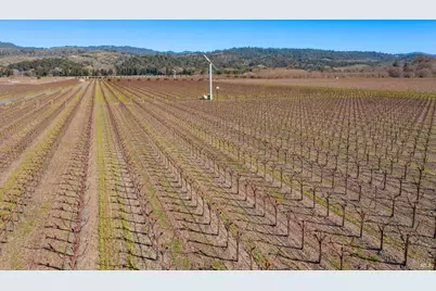 218 Zinfandel Lane, Saint Helena, CA 94574 - Photo 6