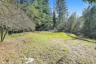 16750 Armstrong Woods Rd, Guerneville, CA 95446 - Photo 18