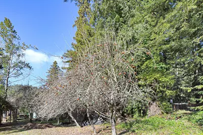 16750 Armstrong Woods Road, Guerneville, CA 95446 - Photo 22