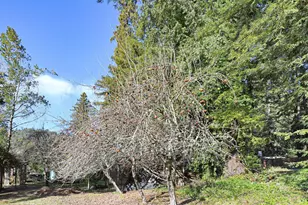 16750 Armstrong Woods Rd, Guerneville, CA 95446 - Photo 22