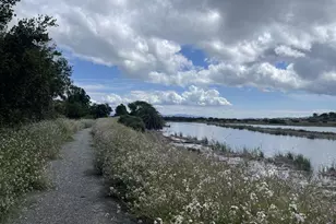 981 Bel Marin Keys Blvd, Novato, CA 94949 - Photo 86