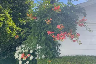 6476 Red Winery Rd, Geyserville, CA 95441 - Photo 44