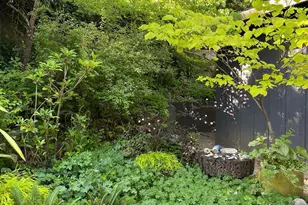 32 Grand View Ave, Camp Meeker, CA 95419 - Photo 46