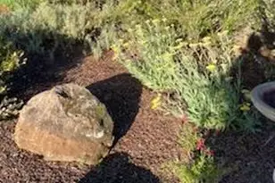 20 Plaza Demira, Novato, CA 94947 - Photo 66