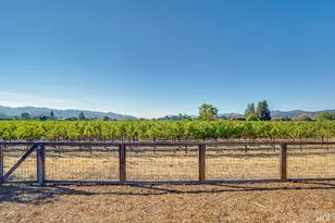 1234 Davis Ln, Saint Helena, CA 94574 - Photo 24