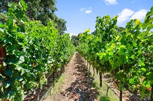 3140 Big Ranch Rd, Napa, CA 94558 - Photo 46